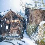 ����ɽ����ɭ�ֹ�԰